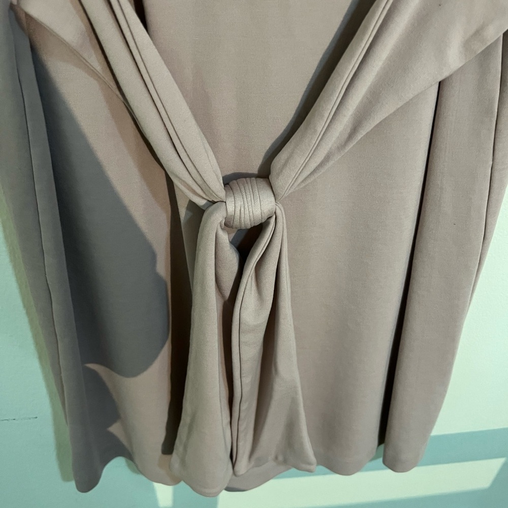 Express Dress - Picture 3 of 4